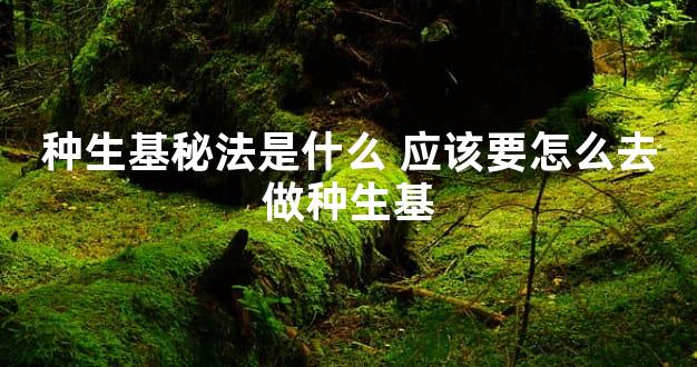 种生基秘法是什么 应该要怎么去做种生基
